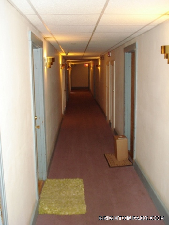 brighton-apartment-for-rent-studio-1-bath-boston-1800-5358733 