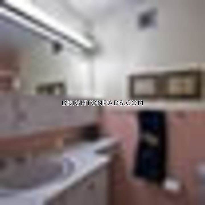 brighton-apartment-for-rent-studio-1-bath-boston-2200-4564609 
