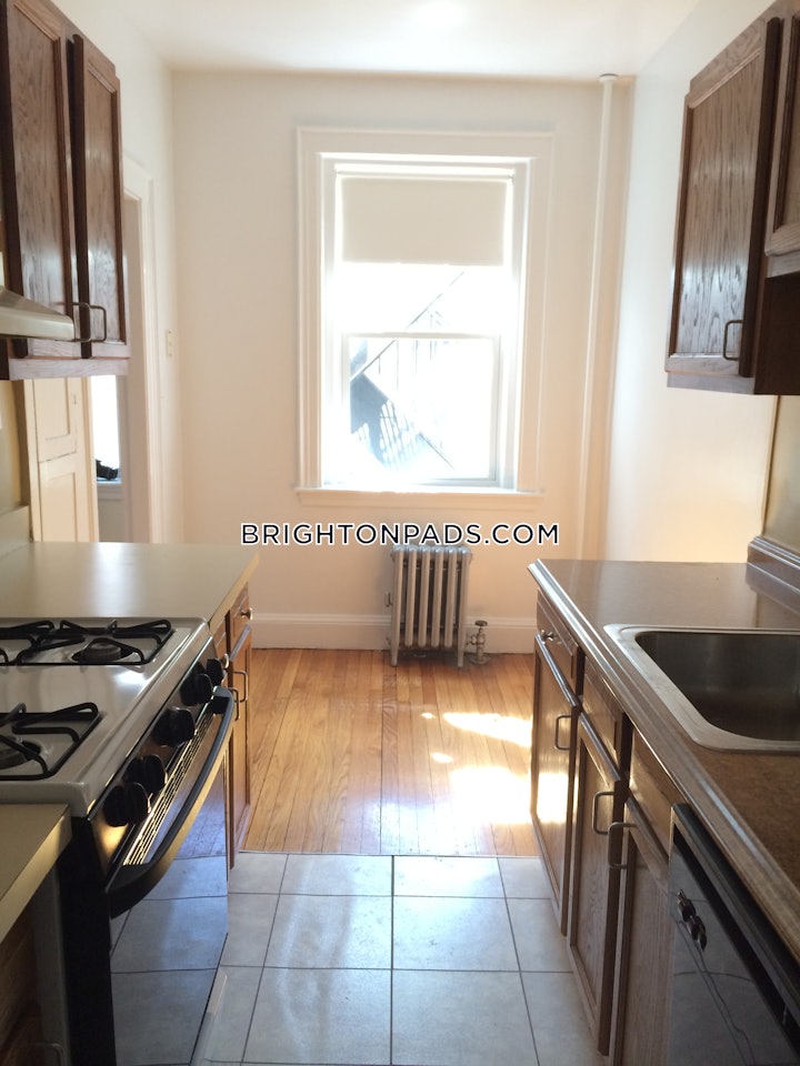 brighton-apartment-for-rent-1-bedroom-1-bath-boston-3145-4567365 