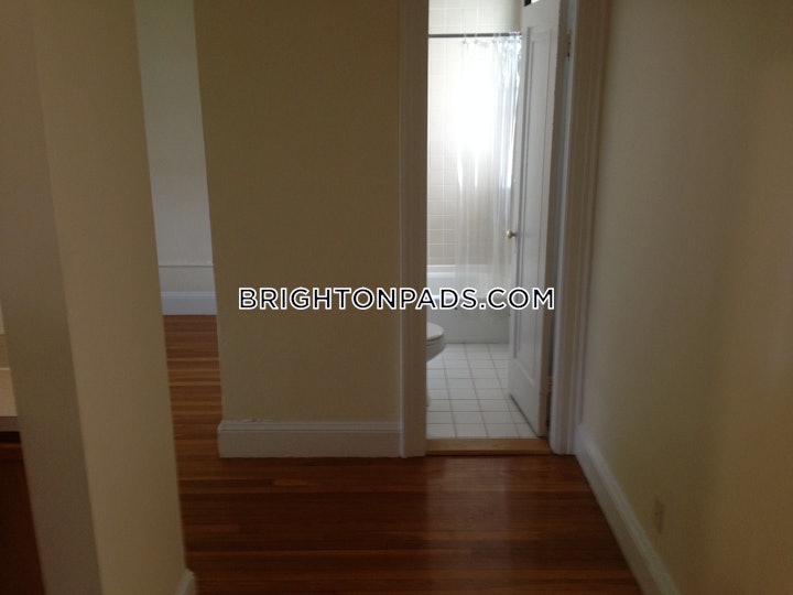 brighton-apartment-for-rent-1-bedroom-1-bath-boston-3145-4618407 