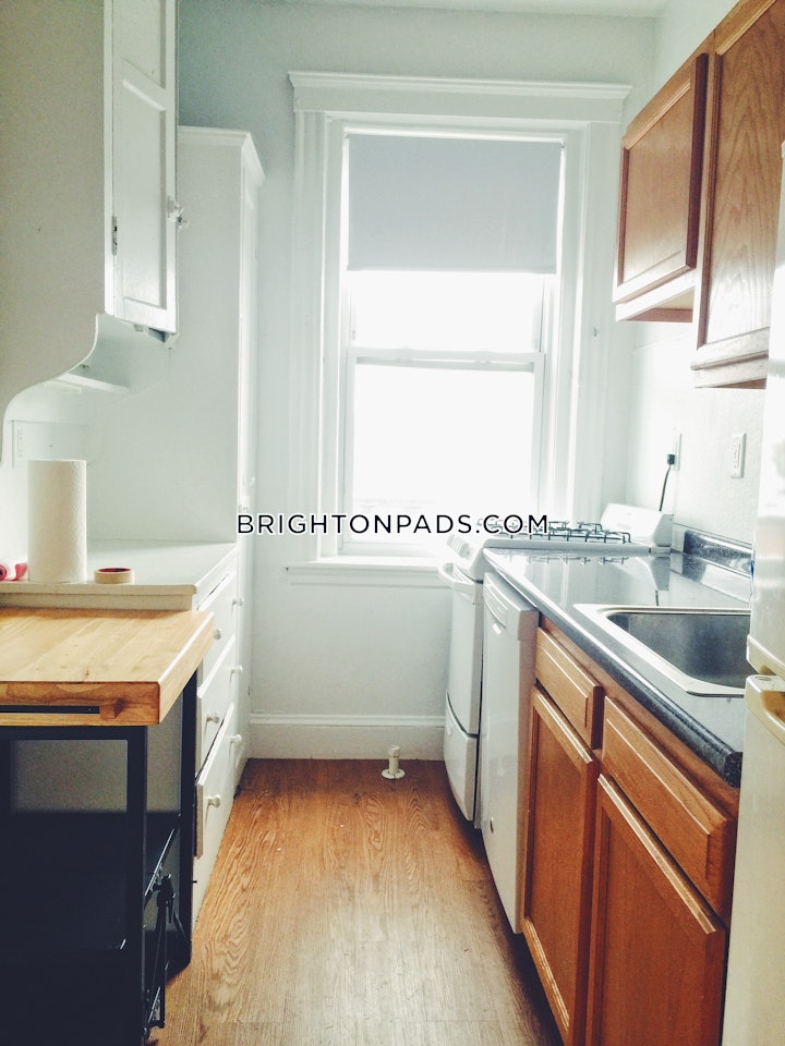 brighton-apartment-for-rent-1-bedroom-1-bath-boston-2550-76475 