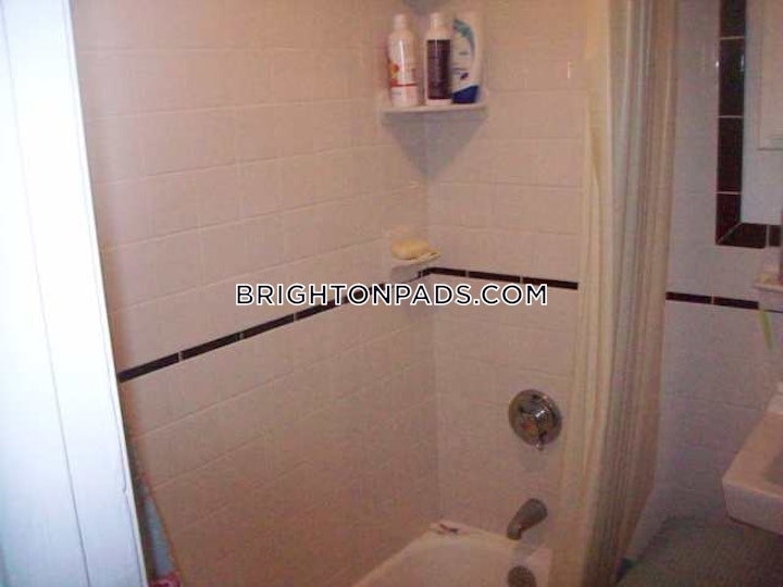 brighton-apartment-for-rent-1-bedroom-1-bath-boston-2525-52180 