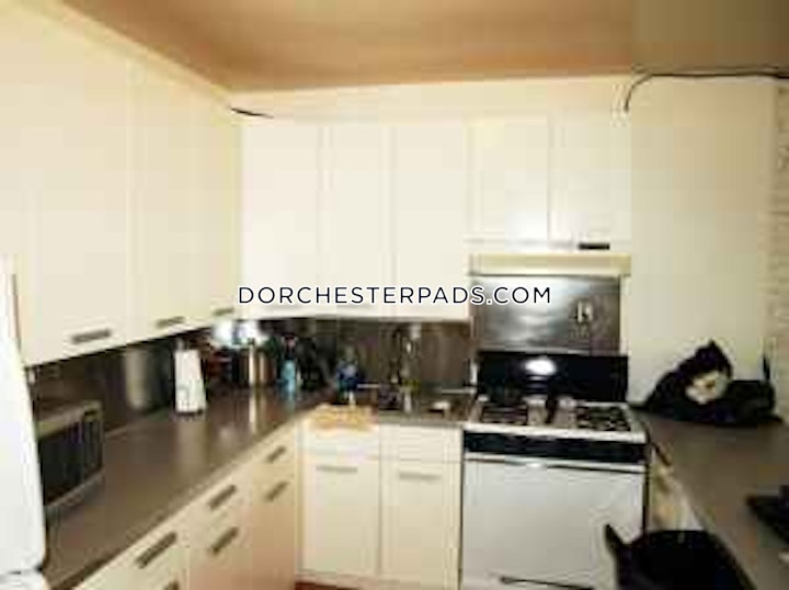 dorchester-apartment-for-rent-4-bedrooms-1-bath-boston-3800-4621443 