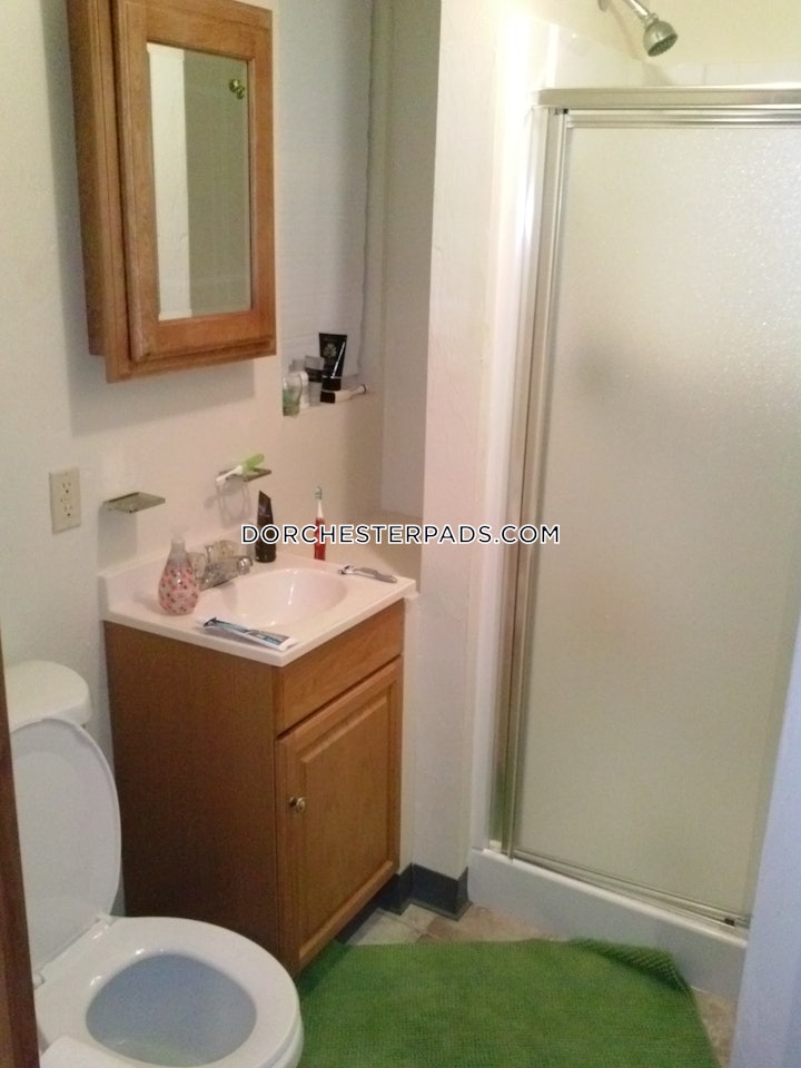 dorchester-apartment-for-rent-4-bedrooms-2-baths-boston-4000-98115 