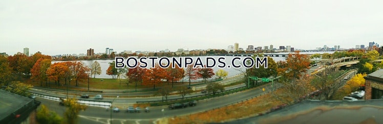 Bay State Rd., Boston