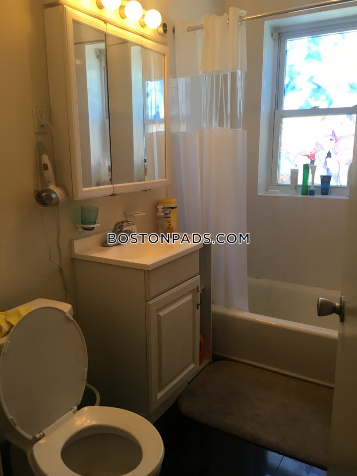 allston-apartment-for-rent-1-bedroom-1-bath-boston-2800-4569560 