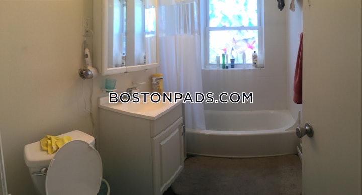 allston-apartment-for-rent-1-bedroom-1-bath-boston-2800-4569560 