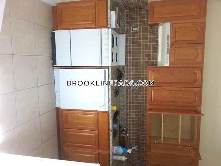 brookline-apartment-for-rent-2-bedrooms-1-bath-boston-university-3300-4557463 