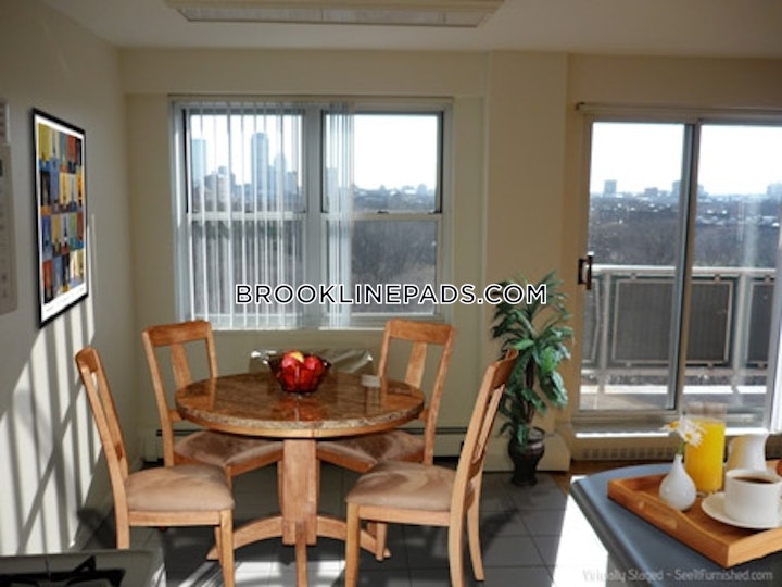 brookline-apartment-for-rent-1-bedroom-1-bath-boston-university-2700-87699 