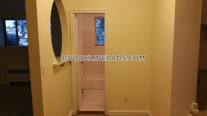 brookline-apartment-for-rent-2-bedrooms-1-bath-coolidge-corner-3760-4586440 