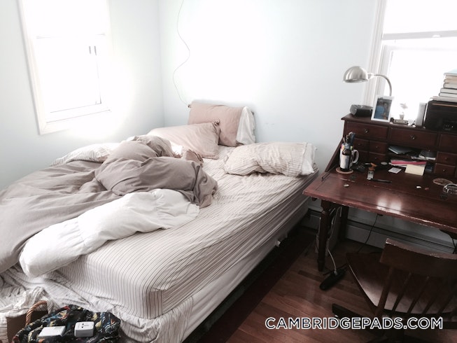 Cambridge - $5,200 /mo