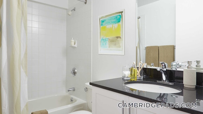 Cambridge - $3,784 /mo