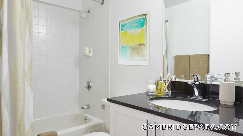 Cambridge - $3,784 /month