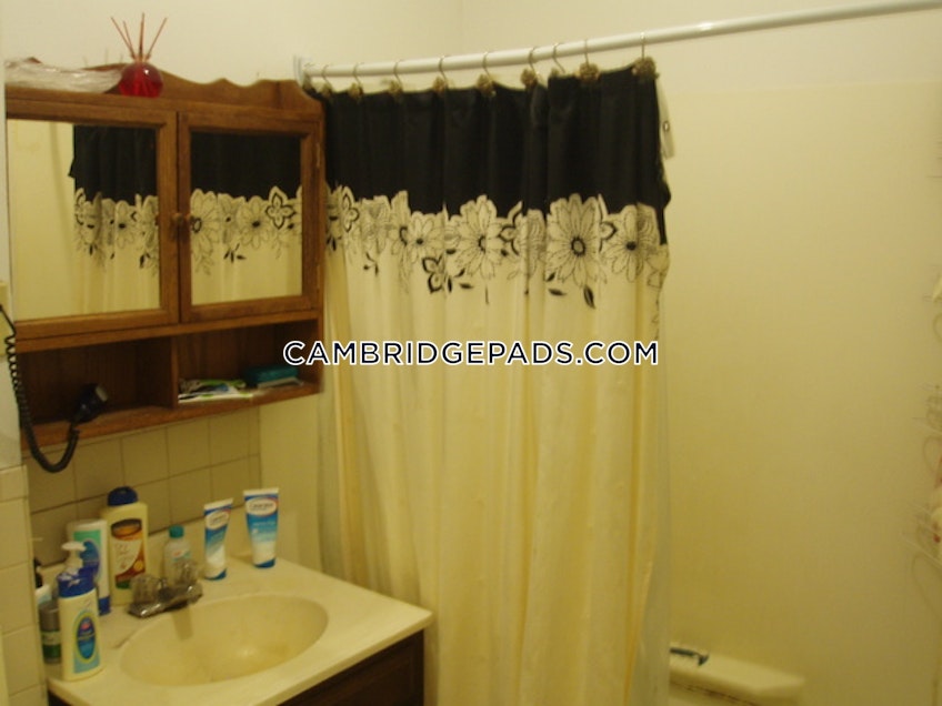 Cambridge - $4,000+ /month