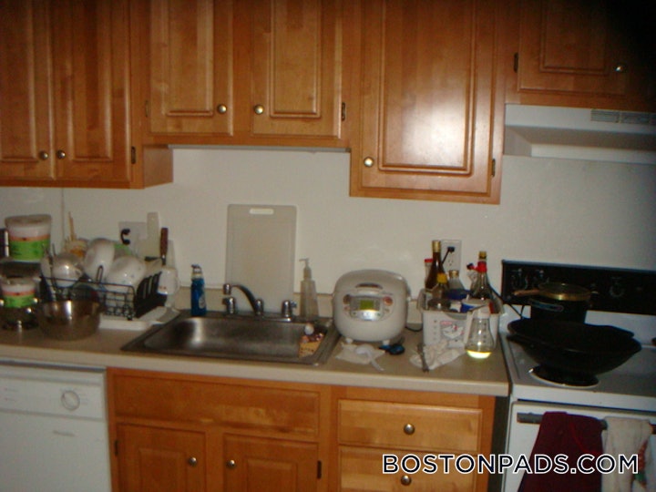 cambridge-apartment-for-rent-2-bedrooms-1-bath-mt-auburnbrattle-fresh-pond-2600-58445 