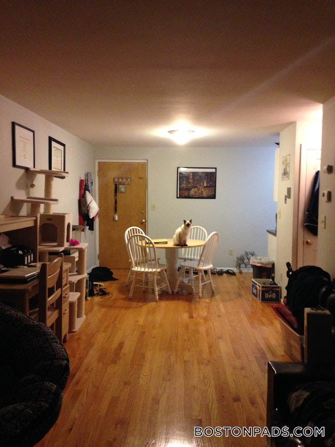 Somerville - $3,000 /mo