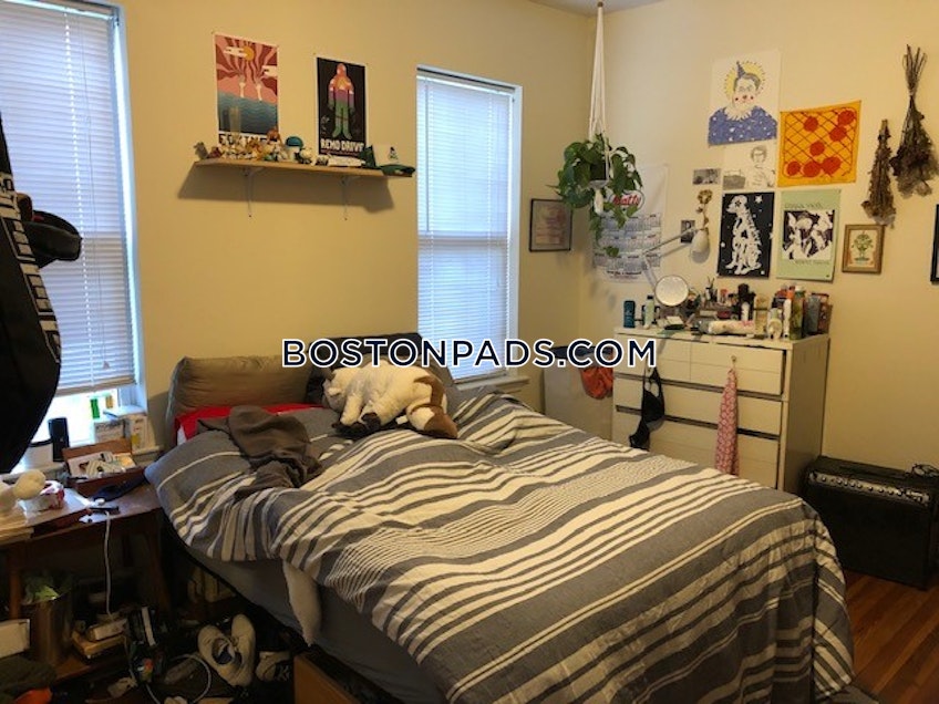 Boston - $2,900 /month