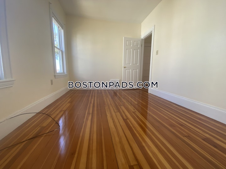 Emrose Ter. Boston picture 8