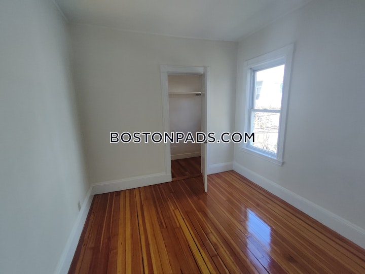 Emrose Ter. Boston picture 40