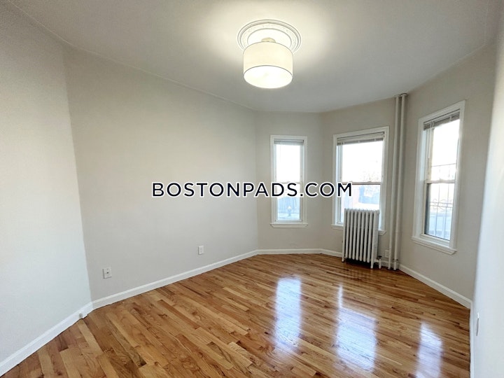 East Cottage St. Boston picture 9