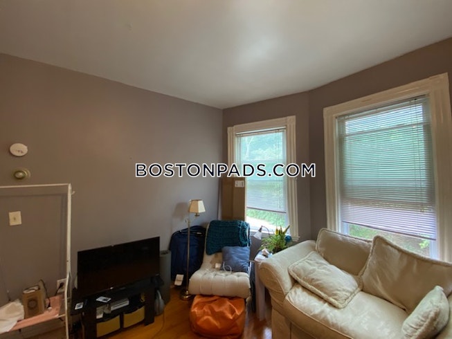 Roxbury Crossing - $3,600 /mo