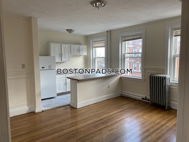 Kelton St. Boston picture 20