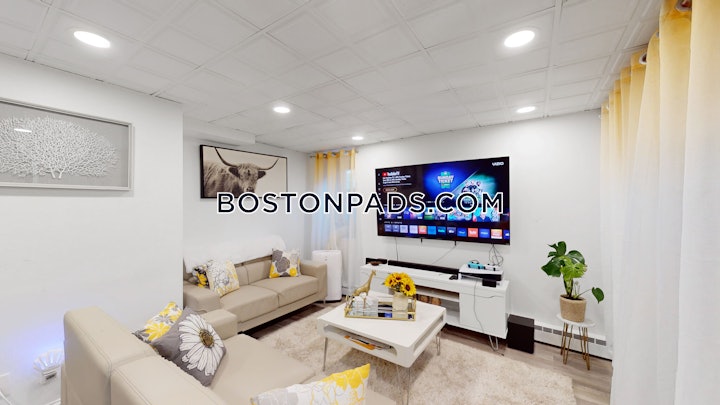 allston-2-beds-1-bath-boston-2595-4486325 