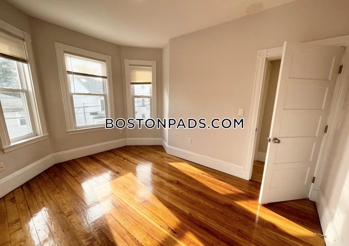 Buttonwood St. Boston picture 8