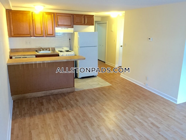 Boston - $3,300 /mo