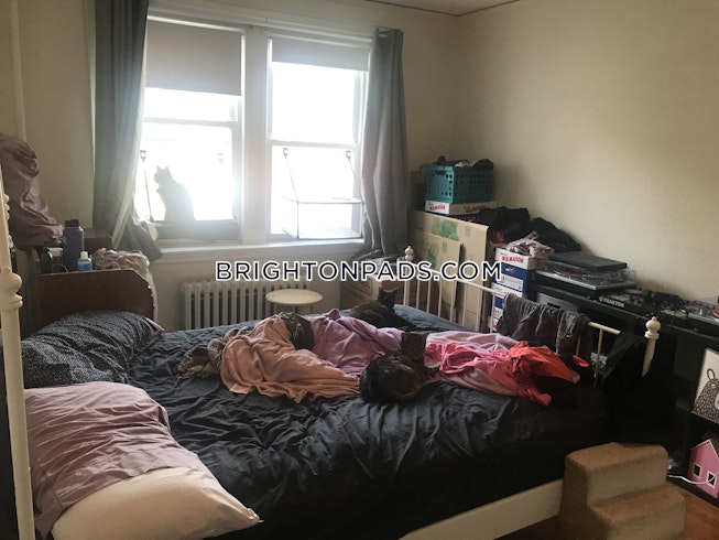 Boston - $2,325 /mo