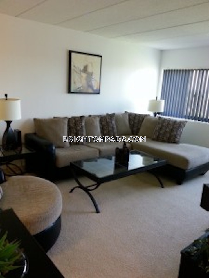 brighton-apartment-for-rent-2-bedrooms-1-bath-boston-3325-3837014 