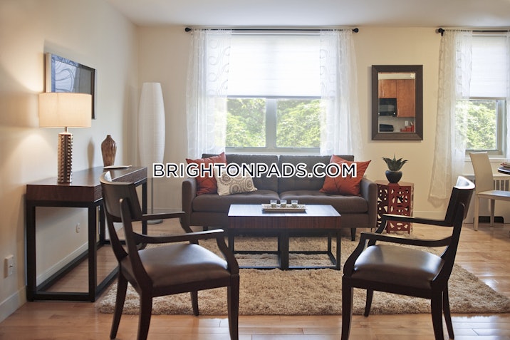 brighton-apartment-for-rent-1-bedroom-1-bath-boston-2567-4118103