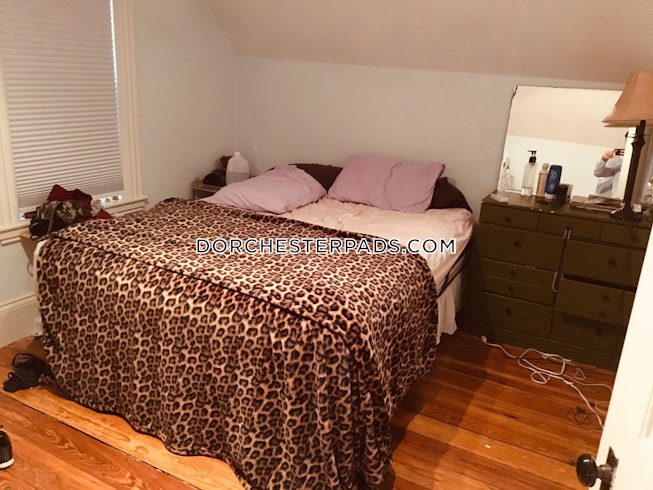 Boston - $2,900 /mo