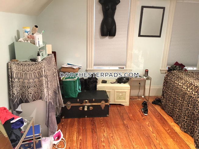 Boston - $2,900 /mo