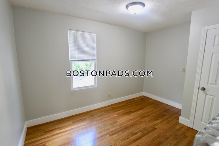 East Cottage St. Boston picture 3