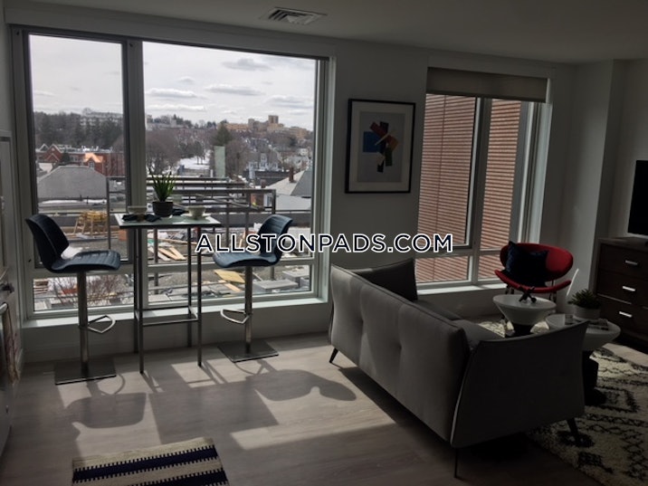 lower-allston-apartment-for-rent-2-bedrooms-2-baths-boston-5308-4061991