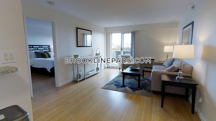 brookline-apartment-for-rent-1-bedroom-1-bath-boston-university-3525-4627027 