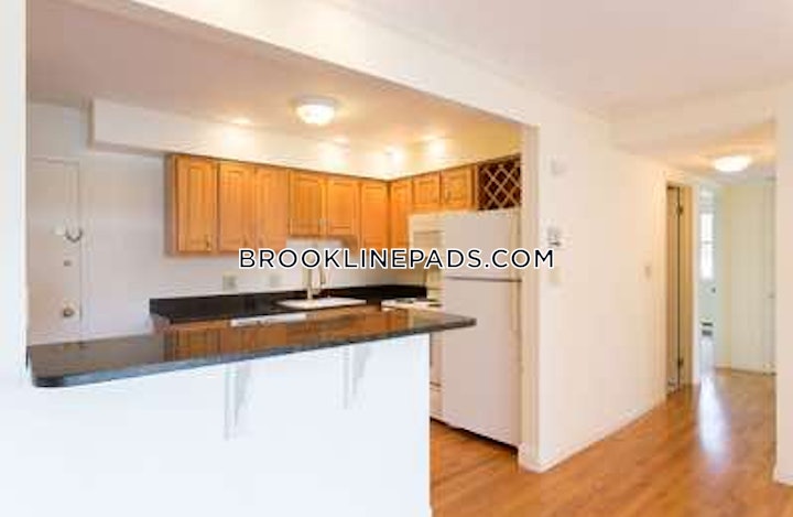brookline-nice-1-bed-1-bath-available-91-on-hammond-pond-pkwy-in-chestnut-hill-chestnut-hill-2500-4112592 