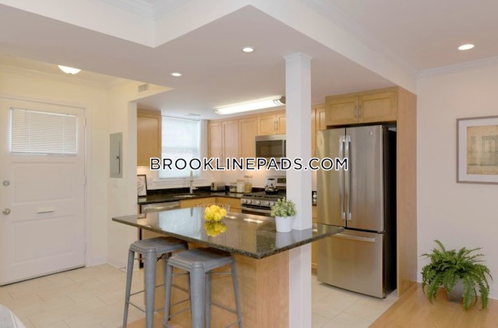 brookline-apartment-for-rent-1-bedroom-1-bath-chestnut-hill-3810-39859 