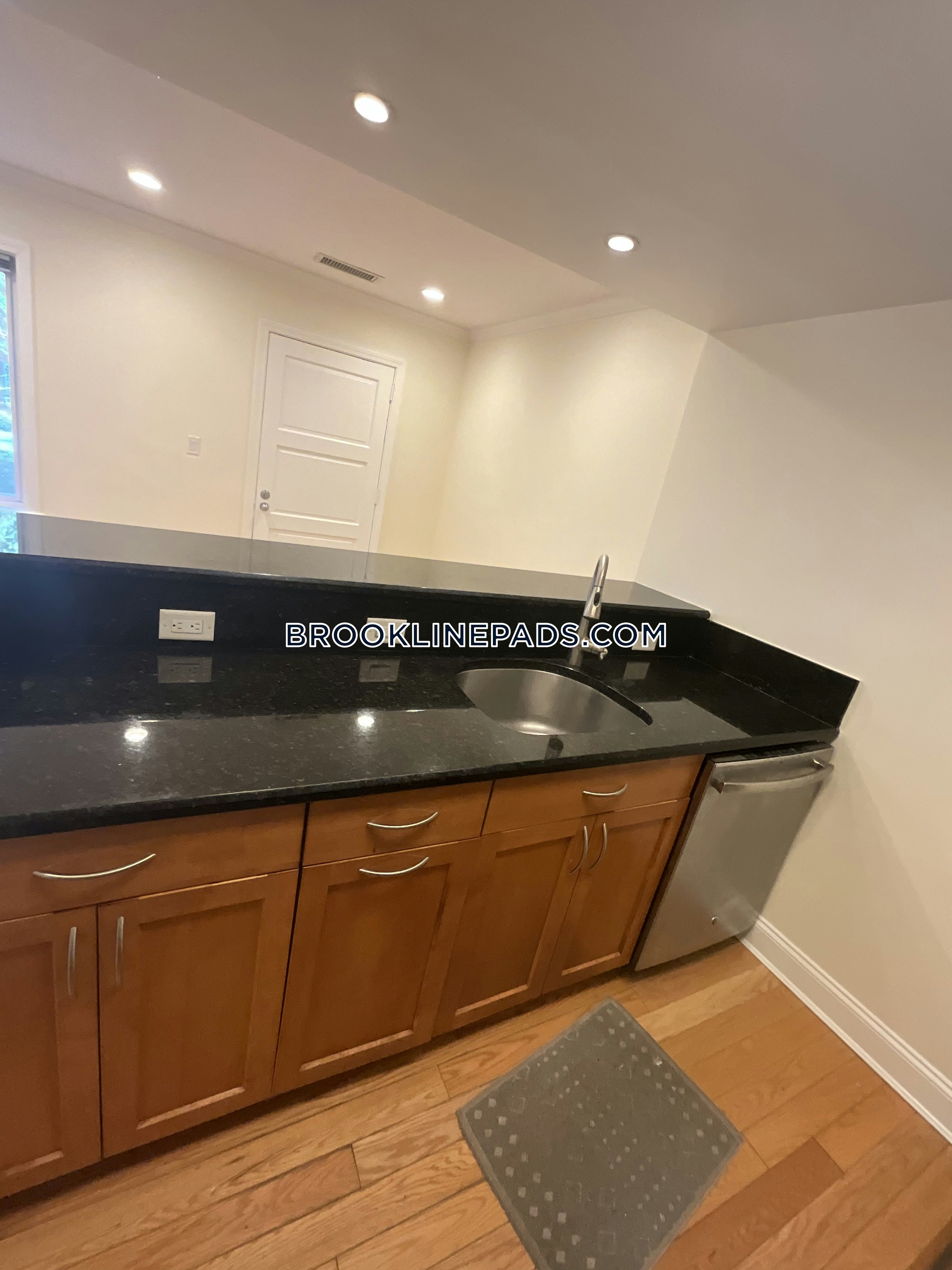 Brookline 2 Beds 1.5 Baths Chestnut Hill - $3,650