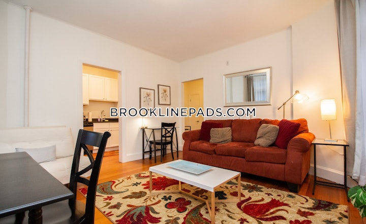 brookline-apartment-for-rent-1-bedroom-1-bath-cleveland-circle-3900-4109321 