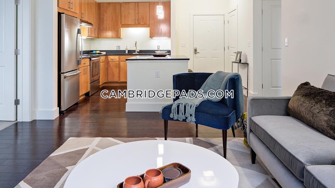 Cambridge - $3,181 /mo