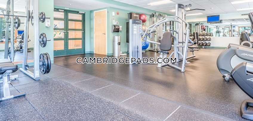 Cambridge - $2,951 /month