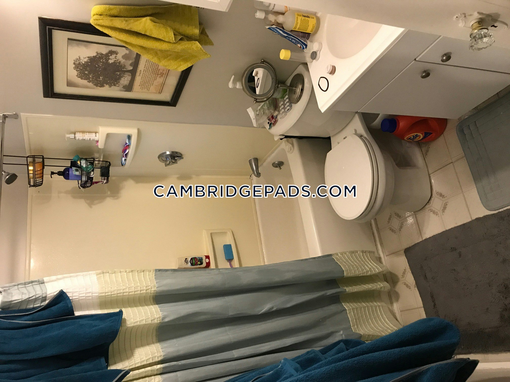 Cambridge - $2,795