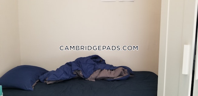 Cambridge - $3,100 /mo