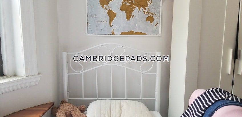 Cambridge - $3,100 /month