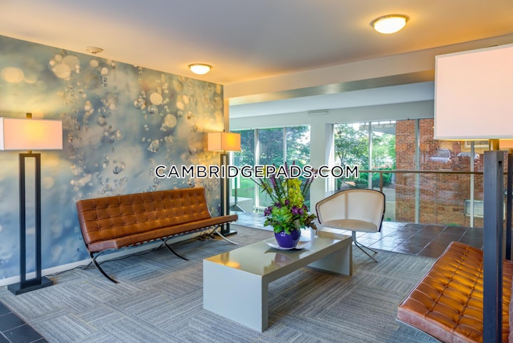 cambridge-apartment-for-rent-2-bedrooms-1-bath-kendall-square-4175-4598888 