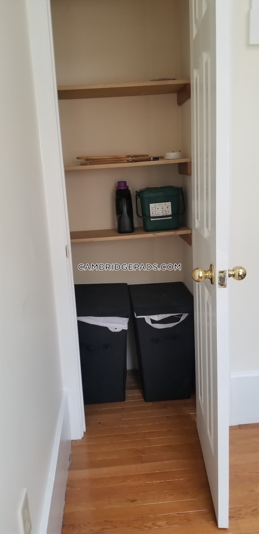 Cambridge - $2,600 /month