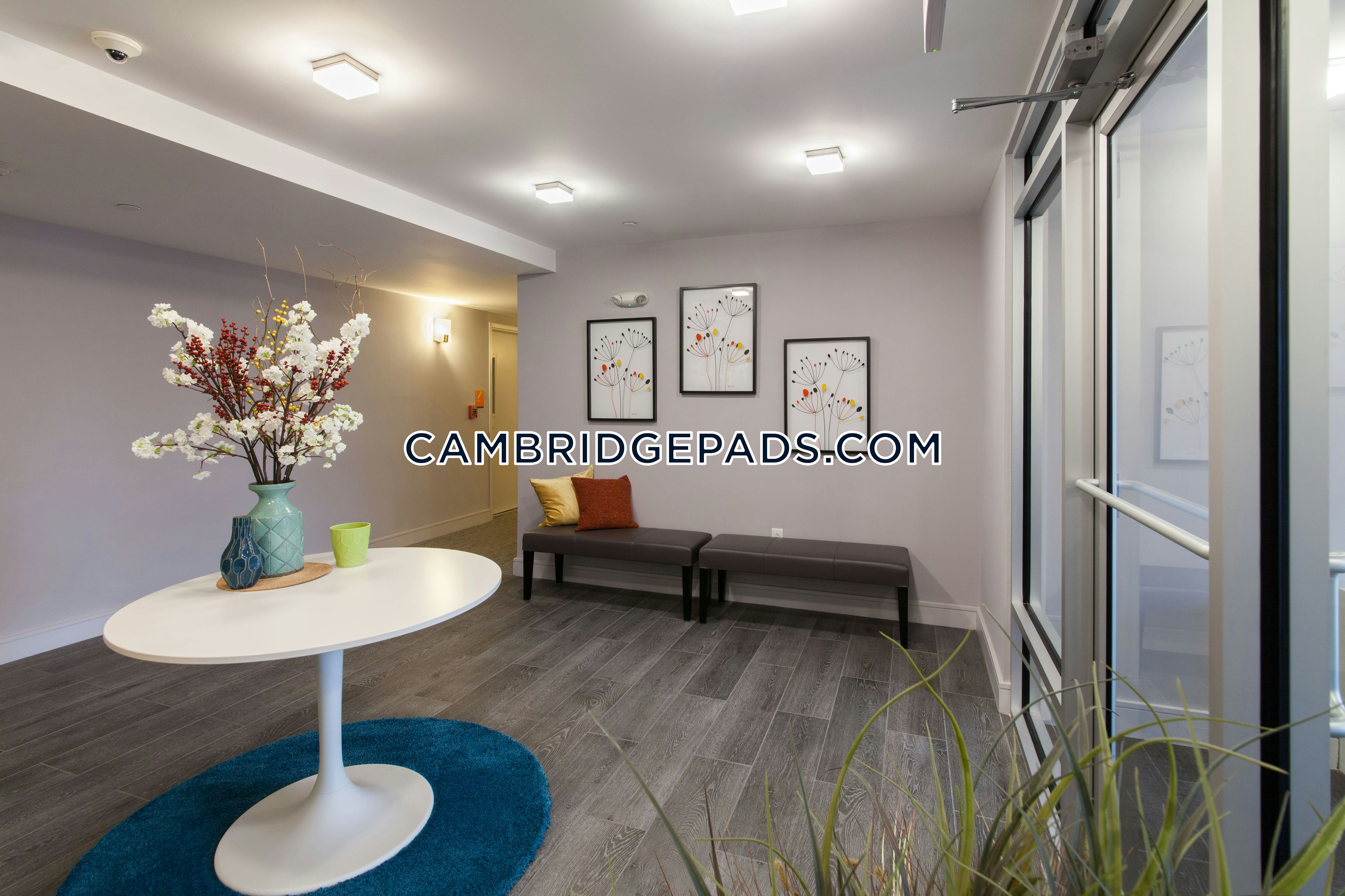 Cambridge - $2,978