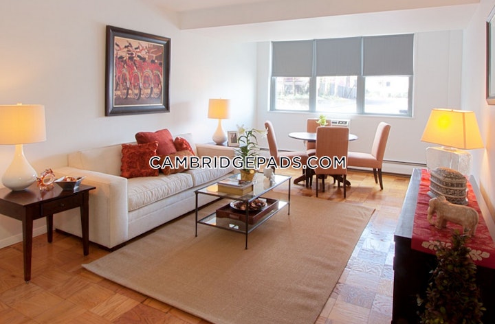 cambridge-apartment-for-rent-studio-1-bath-porter-square-2505-615657 